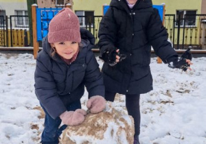 Buziaki bawią się na śniegu.