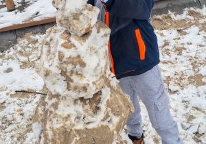 Buziaki bawią się na śniegu.