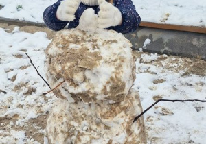 Buziaki bawią się na śniegu.