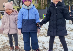 Buziaki bawią się na śniegu.