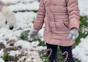 Buziaki bawią się na śniegu.