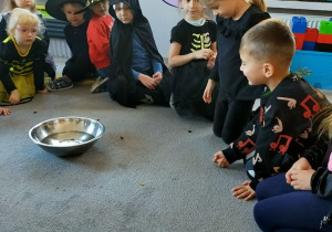 "Andrzejki" w Buziakach.