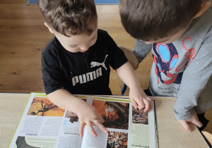 Chłopcy oglądają książeczkę o dinozaurach
