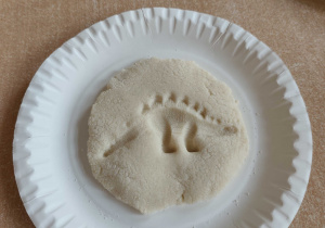 Odcisk dinozaura w masie solnej