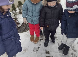 ,,Czyje to ślady?" zabawa tropiąc.