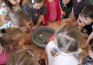 Światowy Dzień Wody w Tuptusiach