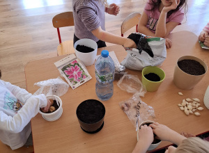 Zielony ogródek w sali Tuptusiów