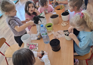 Zielony ogródek w sali Tuptusiów