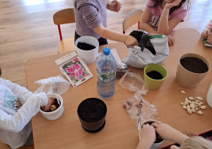 Zielony ogródek w sali Tuptusiów