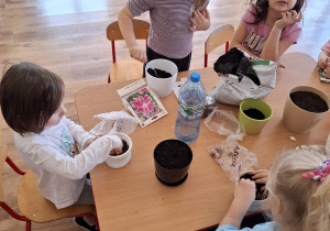 Zielony ogródek w sali Tuptusiów