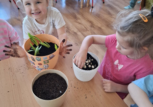 Zielony ogródek w sali Tuptusiów