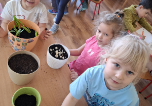 Zielony ogródek w sali Tuptusiów