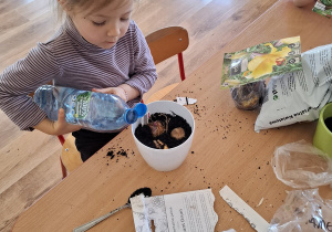 Zielony ogródek w sali Tuptusiów