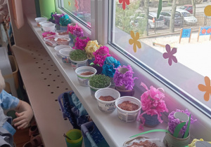 Zielony ogródek w sali Tuptusiów