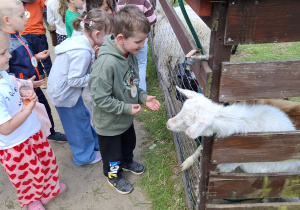 Wycieczka do Malinowego Grodu w Zgierzu