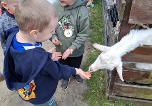 Wycieczka do Malinowego Grodu w Zgierzu