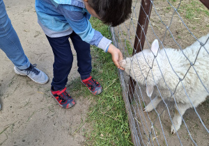 Wycieczka do Malinowego Grodu w Zgierzu
