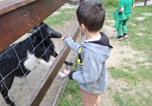 Wycieczka do Malinowego Grodu w Zgierzu