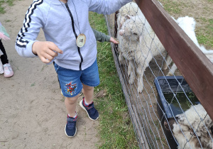 Wycieczka do Malinowego Grodu w Zgierzu