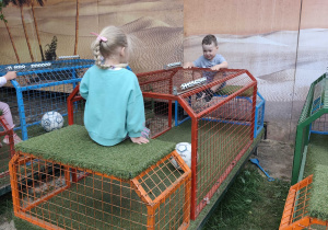 Wycieczka do Malinowego Grodu