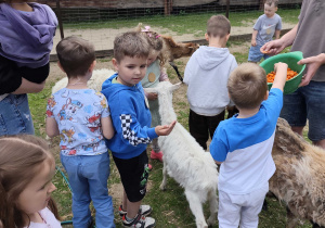 Wycieczka do Malinowego Grodu