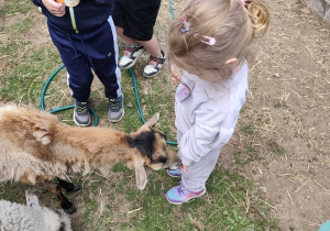 Wycieczka do Malinowego Grodu