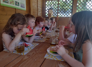 ,,Letnie podwieczorki w altance"(pora roku- lato, c.d), realizacja innowacji pedagogicznej ,,Koło życia -4 pory roku w ogrodzie". )