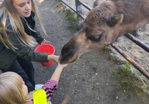Dzieci na wycieczce w Dobroniance