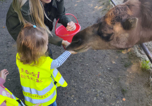 Dzieci na wycieczce w Dobroniance