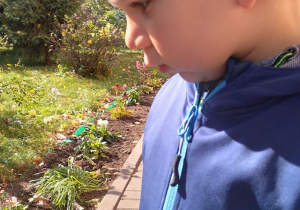 Kubuś przygląda się roślinom w ogrodzie przedszkolnym