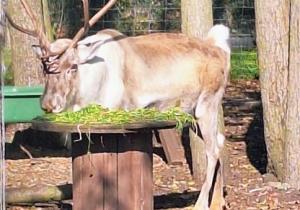 Wycieczka na Farmę Dyń w Dobroniance.