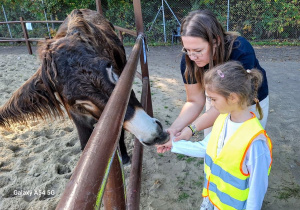Wycieczka na Farmę Dyń w Dobroniance.