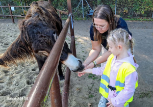 Wycieczka na Farmę Dyń w Dobroniance.