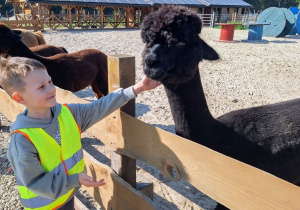 Wycieczka na Farmę Dyń w Dobroniance.