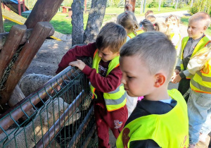 Wycieczka na Farmę Dyń w Dobroniance.