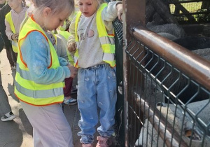 Wycieczka na Farmę Dyń w Dobroniance.