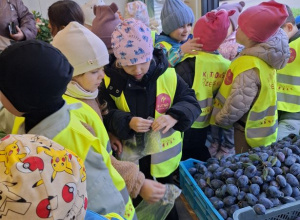 Buziaki na zakupach w Warzywniaku