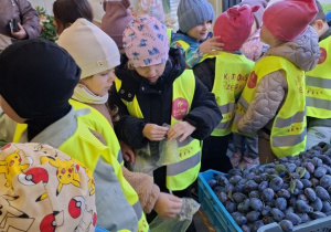Buziaki na zakupach w Warzywniaku