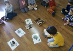 Dzieci siedzą na elipsie. Na środku są rozłożone obrazki z drzewami parkowymi. Chłopiec dopasowuje naturalne elementy drzewa do odpowiednich obrazków.