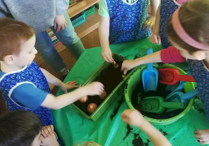Dzieci umieszczają w skrzynce cebulę i pietruszkę.