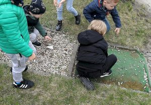 Dzieci porządkują ścieszkę zmysłów.