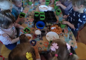 Dzieci sadzą cebulki w swoich pojemniczkach