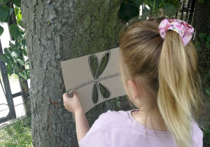Dziewczynka dołożyła szablon ważki do kory drzewa.