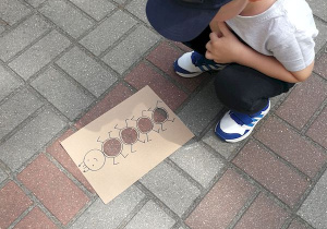 Chłopiec położył szablon stonogi na kostkę chodnika.