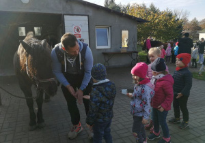 Dzieci karmią konia.