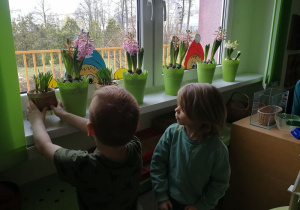 Dzieci ustawiają doniczki z kwiatami na parapecie.