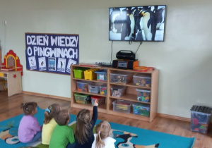 Przedszkolaki oglądają film edukacyjny o pingwinach