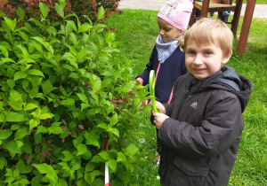 Olek i Emilka obserwują krzewy w przedszkolnym ogrodzie