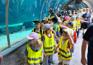 Dzieci obserwują podwodne życie w orientarium.