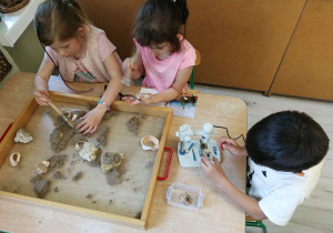 Dzieci oglądają skamieliny odnalezione w piasku.